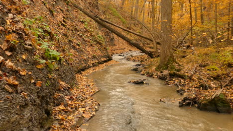 Ikonische-Herbstwaldlandschaft-Mit-Fließendem-Wasser,-Schwenkansicht-Rechts