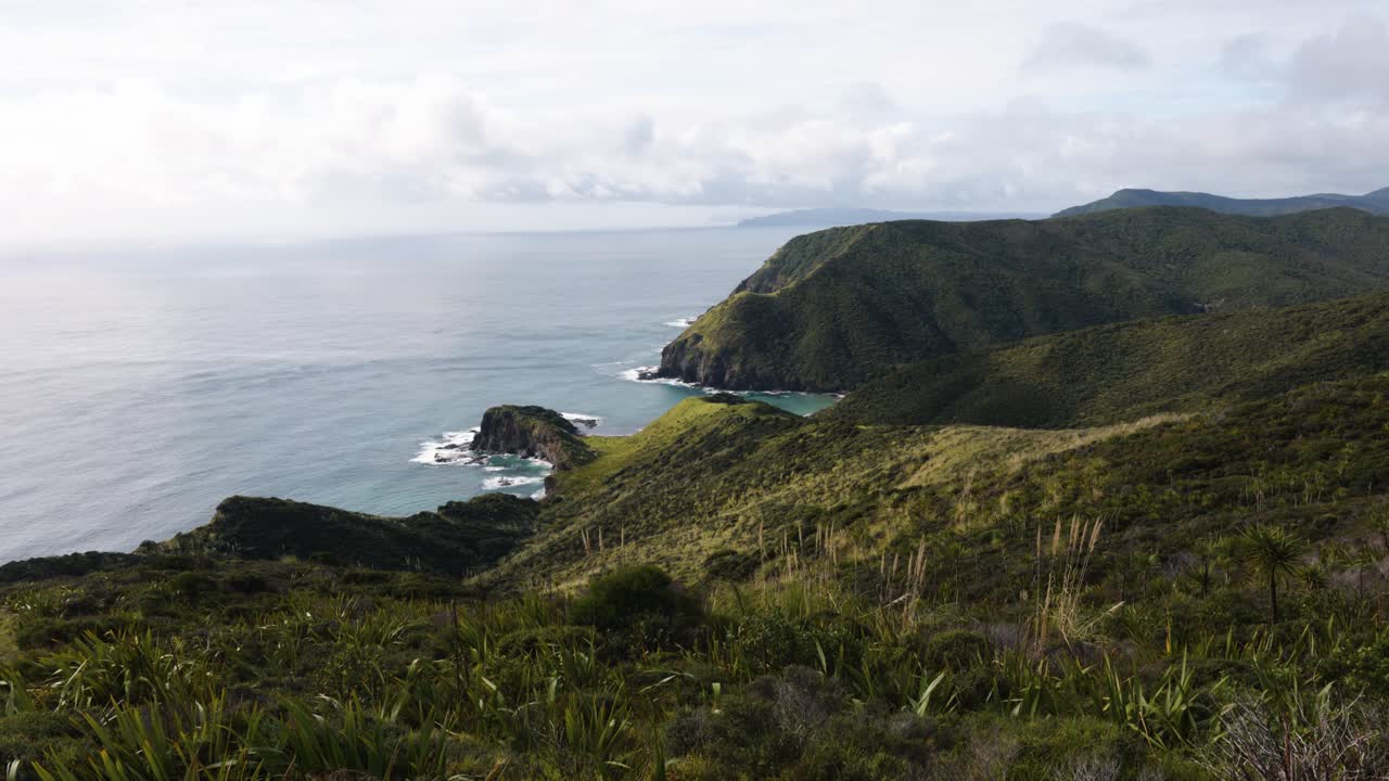 View of green coast and cliffs at Cape Reigna, Northland, New Zealand.