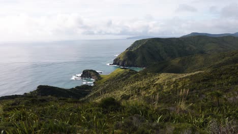 view of green coast and cliffs at cape reigna, northland, new zealand.