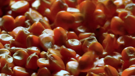 close up shot of dried corn kernels falling on to a wicker basket