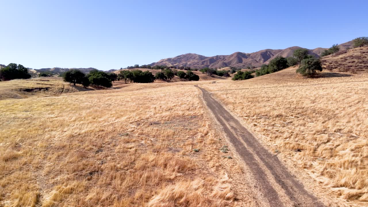 An immersive, low-altitude drone shot flying forward along a dirt road through a vast field of golden grass. A classic California countryside adventure