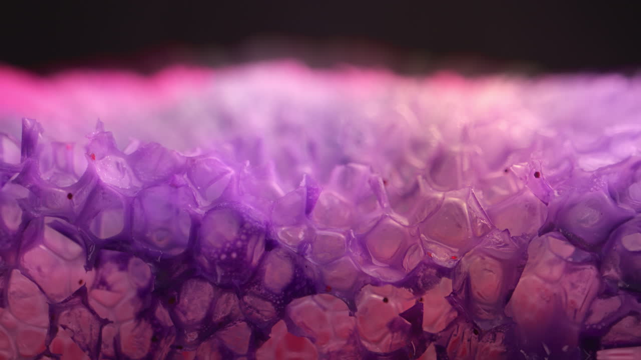 Close-up view of a vibrant purple and pink textured surface