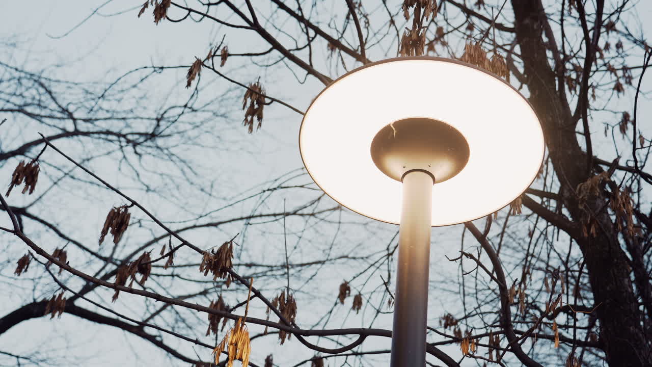 Bright close up of street light glowing beside tree branches with dried leaves during cool evening, casting soft warm light against pale sky as bare limbs create silhouette across background