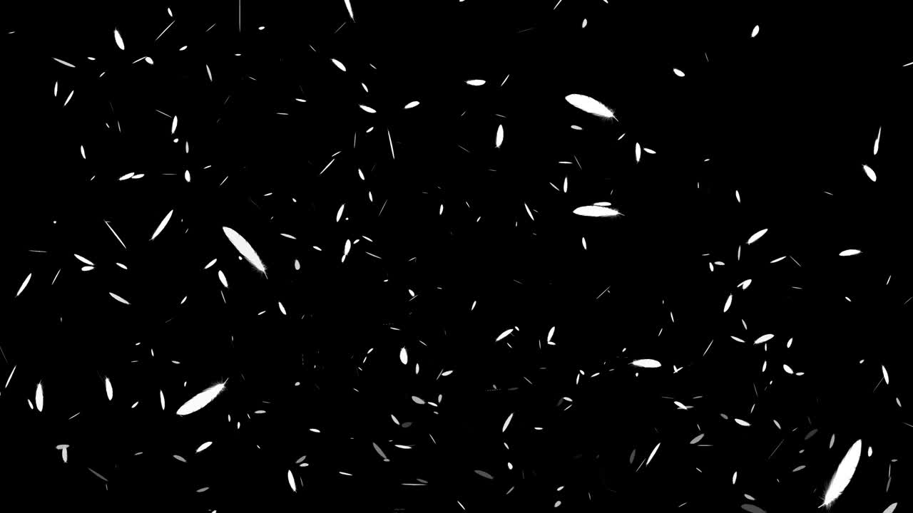 White feathers soaring particles motion graphics