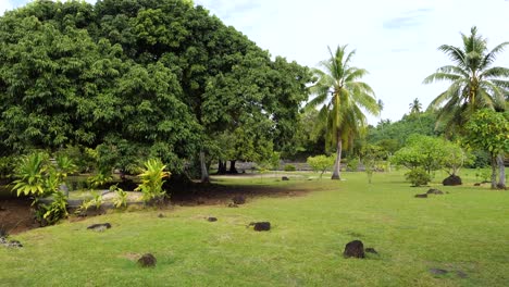 Serene Tropical Landscape with Palm Trees and Lush Greenery