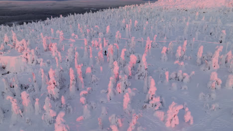 drone shot circling a cross-country skier on top of a fell, sunrise in lapland