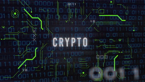 binary code and crypto text animation over digital data background