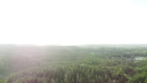 Die-Drohne-Wird-Um-360-Grad-Gedreht,-Um-Die-Schönheit-Und-Größe-Der-Litauischen-Waldlandschaft-Zu-Enthüllen