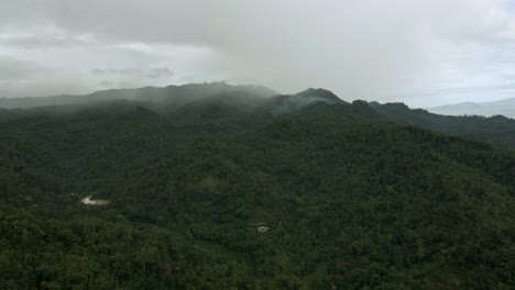 Drone-Vuela-Sobre-Un-Bosque-De-Montaña-Interminable