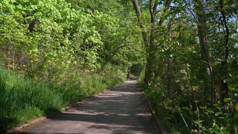 Naturpfad-In-Rockford,-Michigan