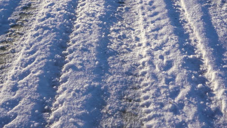 car tire marks in closeup on frozen ice in snow