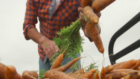 Mature-man-working-on-farm