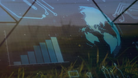 grassy field showing digital interface overlaying rising bar chart left, holographic globe right