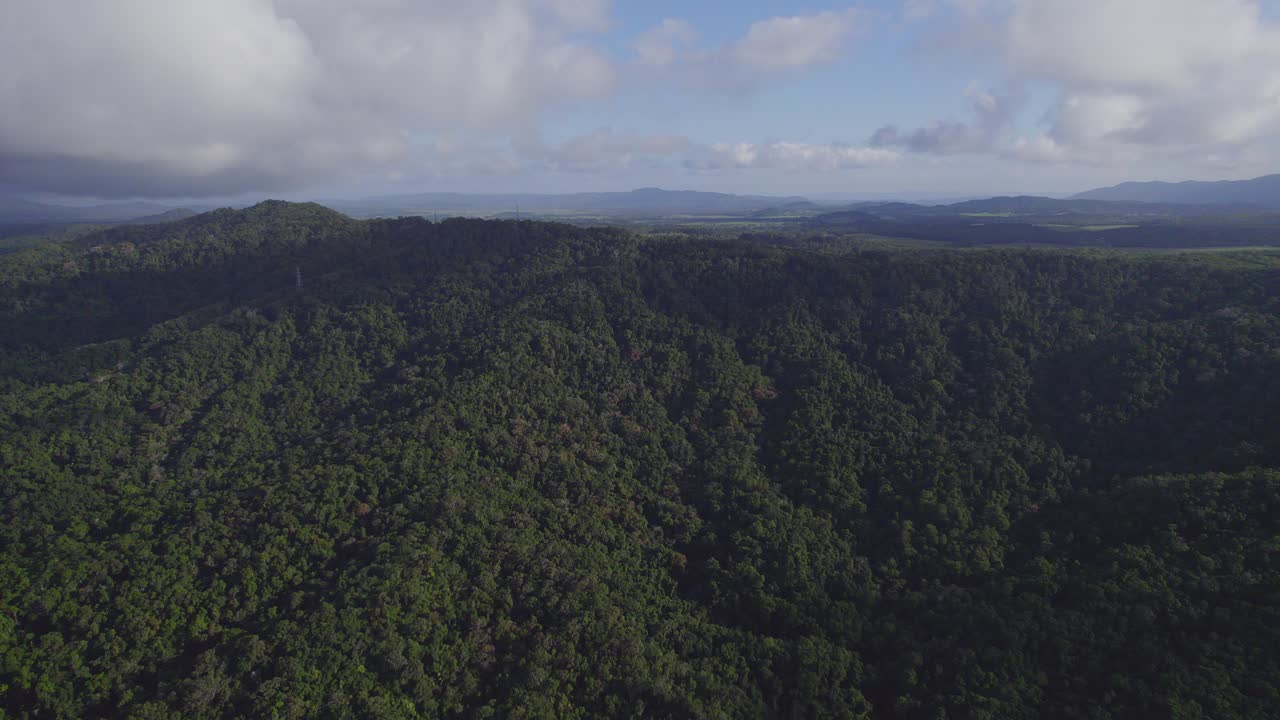 paisaje montañoso de la selva tropical en port douglas, extremo norte de queensland, australia - toma aérea