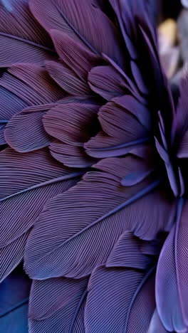 vibrant purple feather texture