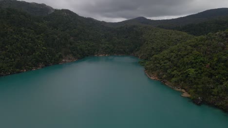 frondoso bosque verde en hook island con nara inlet - whitsunday island en qld, australia