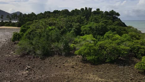 Low-angle-aerial-view-over-tropical-island-pebble-shoreline-rising-close-to-idyllic-palm-tree-forest-lush-foliage