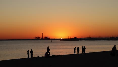 people enjoying a sunset at the beach