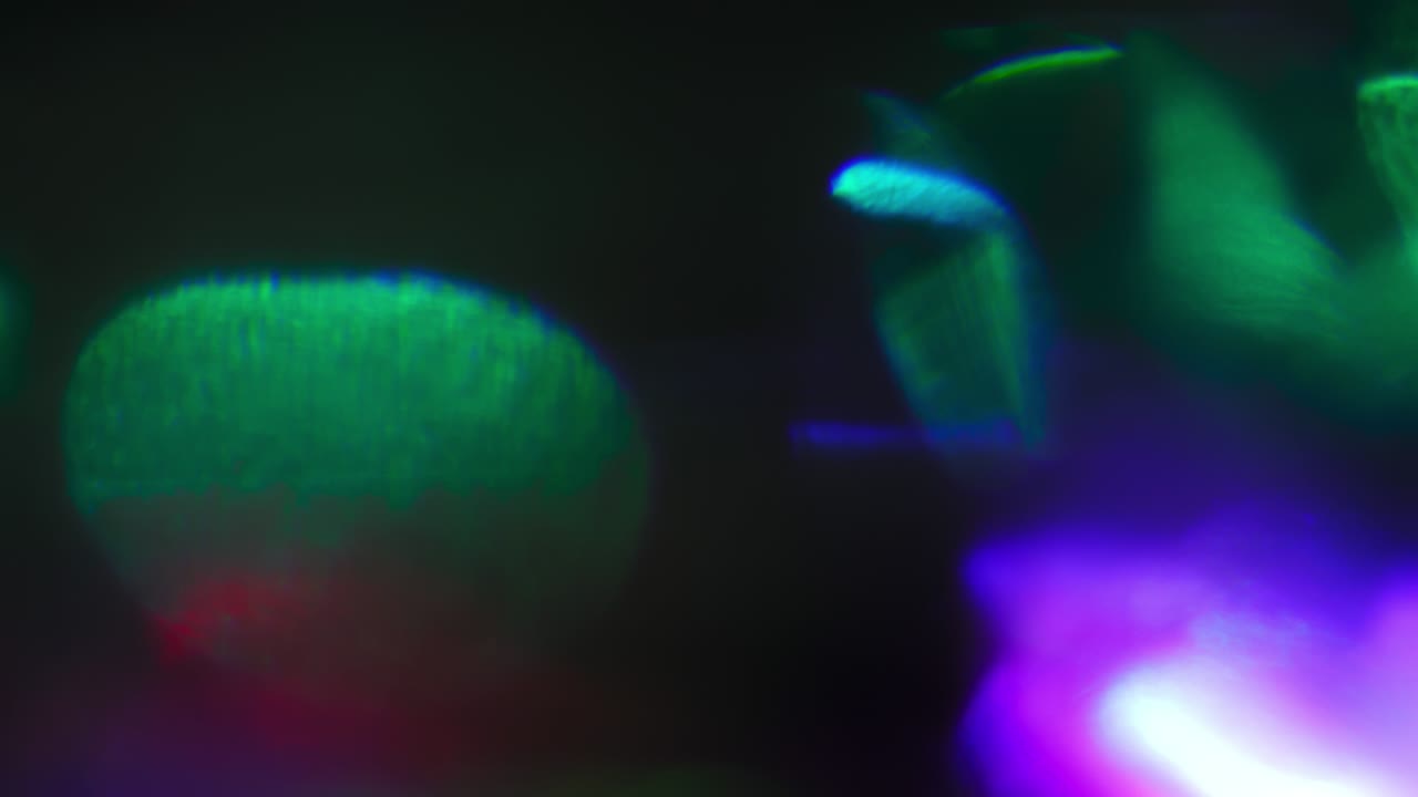 las llamaradas de las lentes holográficas suaves, las fugas de luz surrealistas, la paz de los pulsos de luz aleatorios.