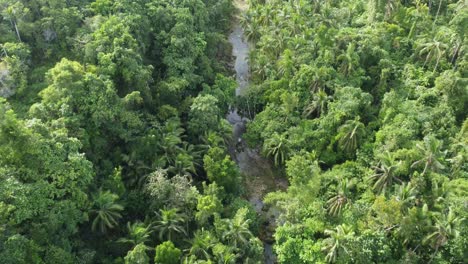 Un-Vuelo-Siguiendo-El-Río-A-Través-De-Una-Densa-Jungla,-Sumérgete-En-Este-Paraíso-Verde