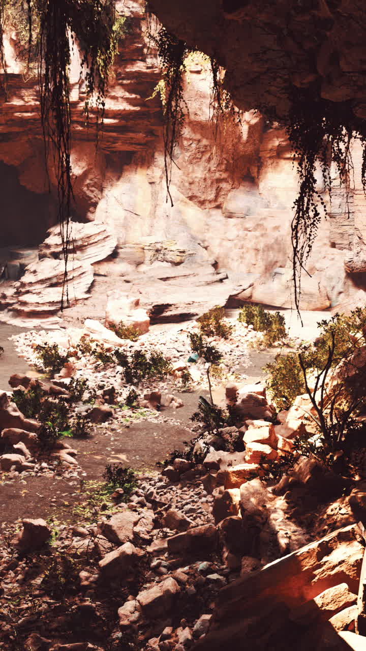 A canyon with a rock face and a river