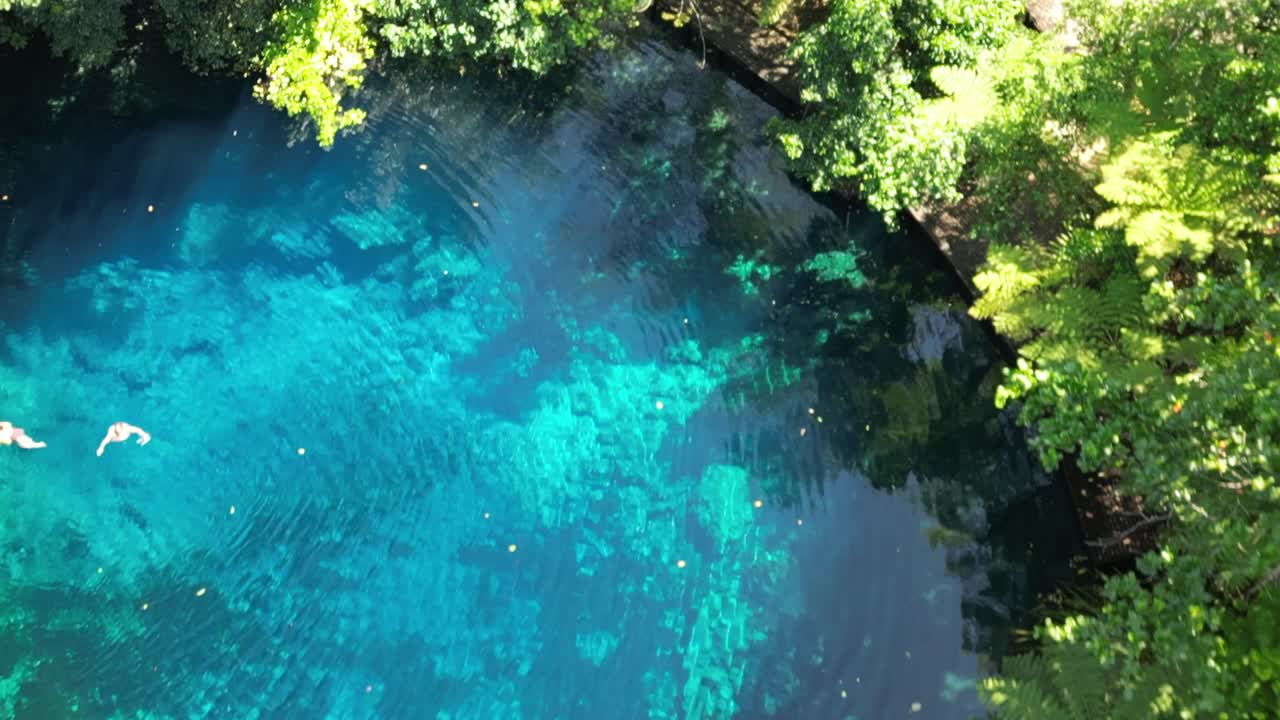 A drone flies over Santo's Blue Hole Hangout to reveal lush green forests on the island of Espiritu Santo