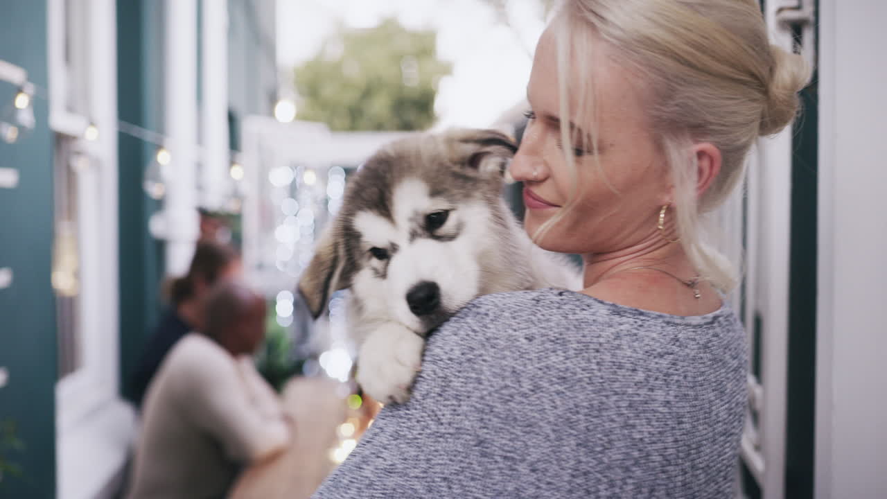 저는 허스키를 가지고 있습니다. 그리고 그는 제 마음을  ⁇ 쳤습니다.