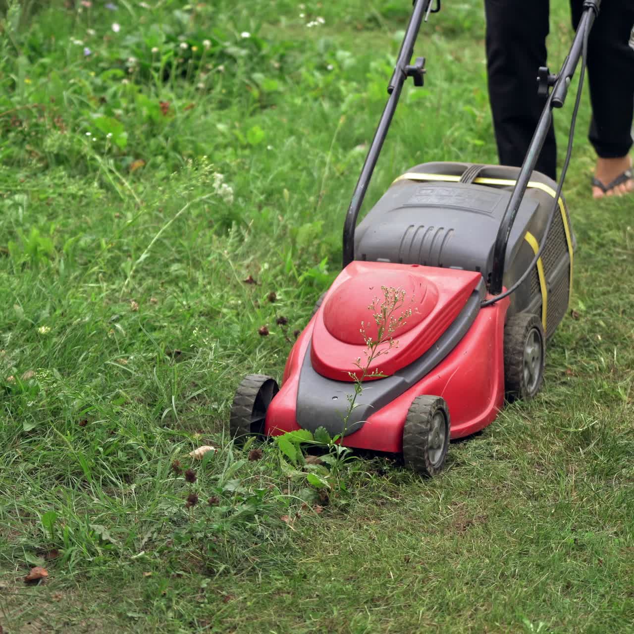 Woman cuts the lawn. Mowing lawns. Summer seasonal works in backyard.