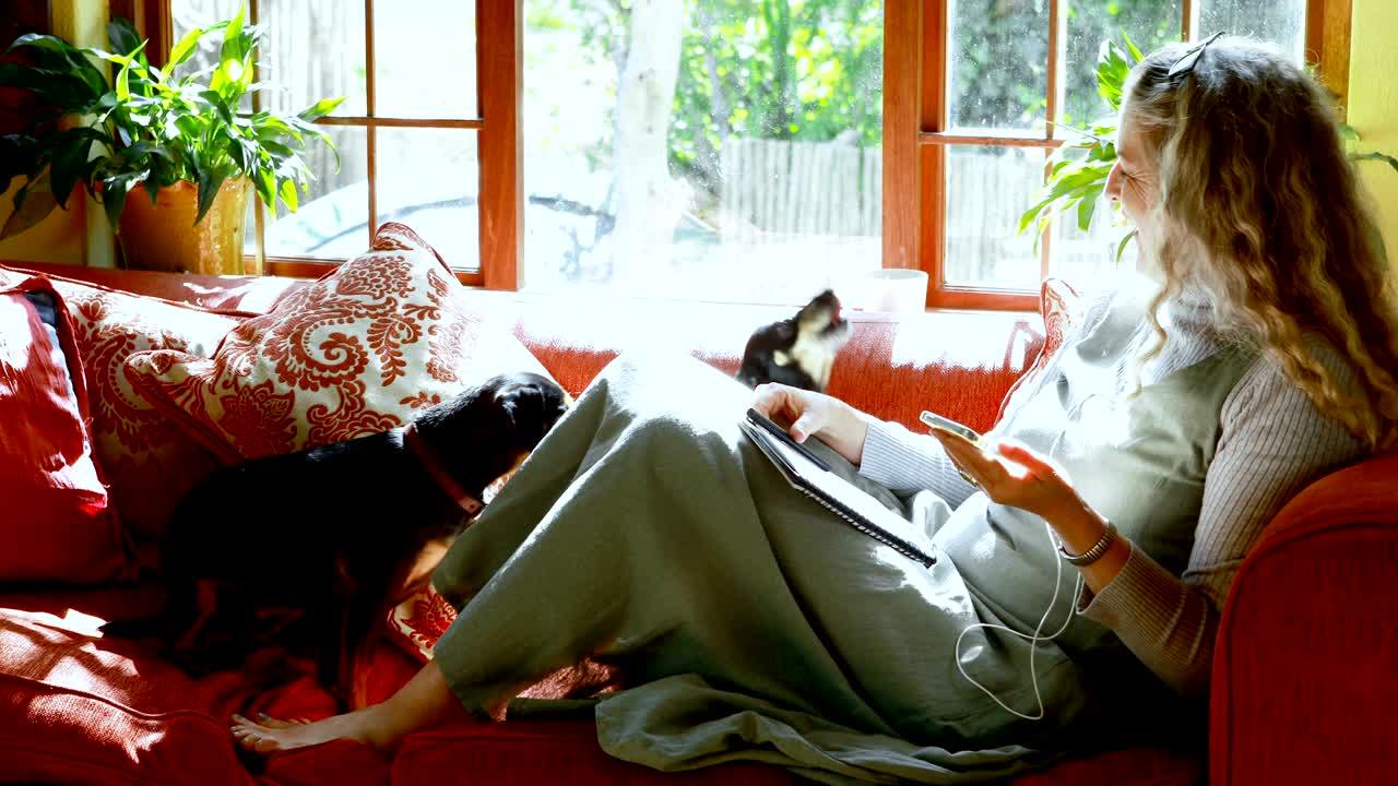 성숙한 여성이 거실 4k에서 개와 놀고 있습니다.