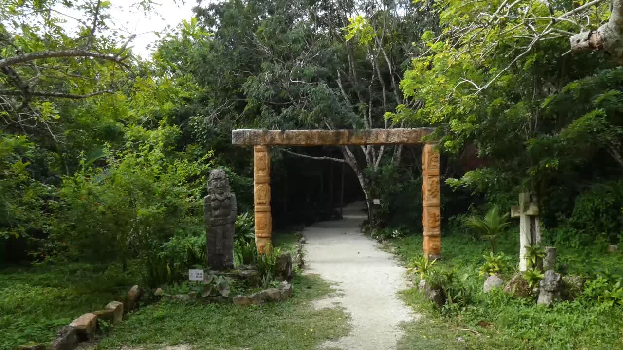 santuario de abejas mayas, cozumel, méxico