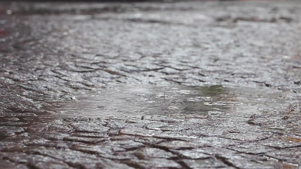 Raindrops Falling into a Puddle on Cobblestone Street
