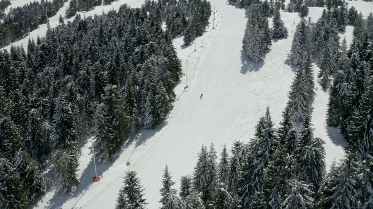 Aerial View of a Snowy Mountain Ski Slope with Fir Trees and a Skier