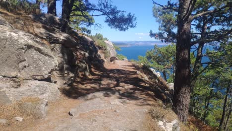 Wild-forest-trail-next-to-the-cliff-with-the-sea-and-coast-in-the-background-on-a-clear-sunny-day,-shooting-traveling-forward,-walking-movement,-Cíes-Islands,-Pontevedra,-Galicia,-Spain