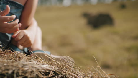 primer plano de las piernas del niño descansando en la bala de heno en el campo, usando sandalias casuales, el niño sostiene un pequeño pedazo de hierba mientras disfruta de un momento pacífico al aire libre en un clima cálido de verano bajo un cielo azul