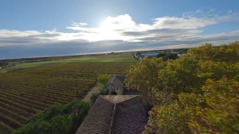 Viñedo-Iluminado-Por-El-Sol-En-Bailargues,-Sur-De-Francia---Paso-Elevado-De-Drones-FPV