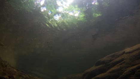 kaeng krachan national park is home to a lot of fantastic wild animals and the streams are life source of fresh water for animals to drink and for fish to swim around