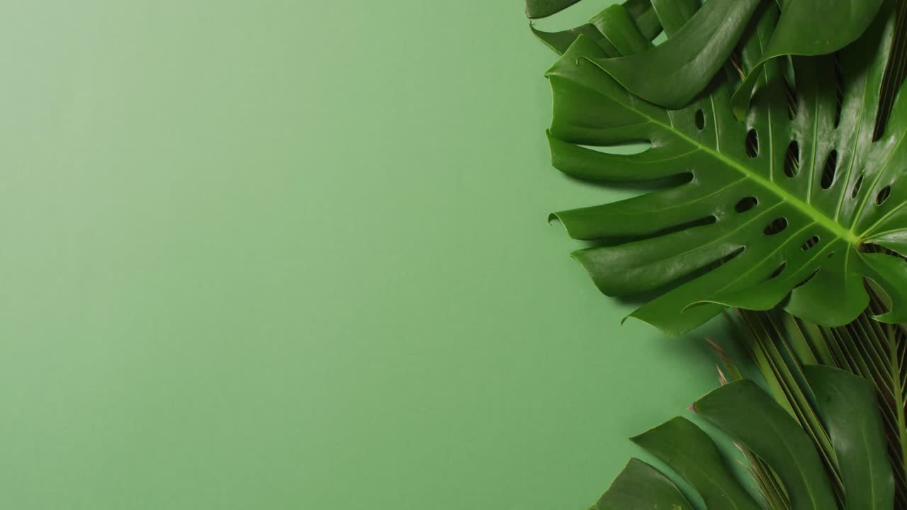 Animation of green lush leaves over green background with copy space