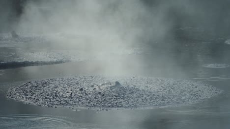 Boiling-hot-geothermal-volcanic-mud-pool,-closeup-shot-steamy-lake-bubbling-mud-and-steam-satisfying