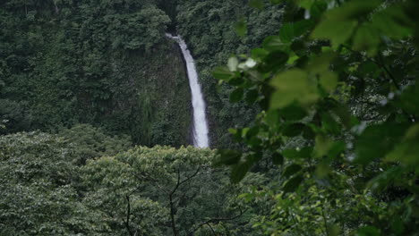 la fortuna costa rica rain forest waterfall from a distance, leaves foreground