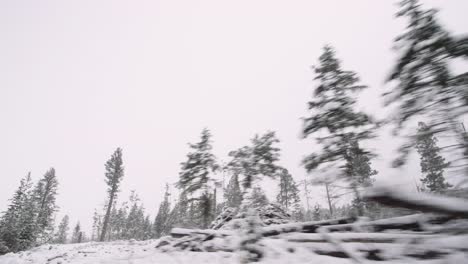 Cámara-Estabilizada-Conduciendo-A-Través-De-Un-Bosque-Cubierto-De-Nieve-En-Un-Campamento-Maderero-De-Invierno