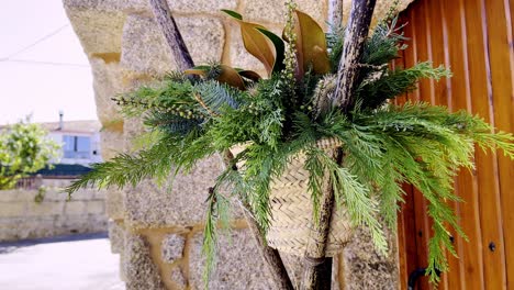 leafs flutter in wind put together for floral arrangement at ethnographic festival pereiro de aguiar lonoa spain