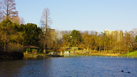 the beautiful park in osaka