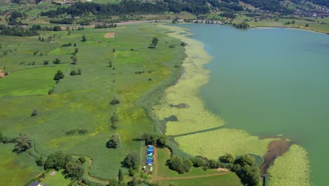 aerial view of the small swiss village by the lake and lotus flowers in the lake