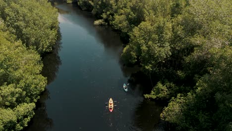 aerial view of kayaks in mangrove forest at el paredon, guatemala - drone shot