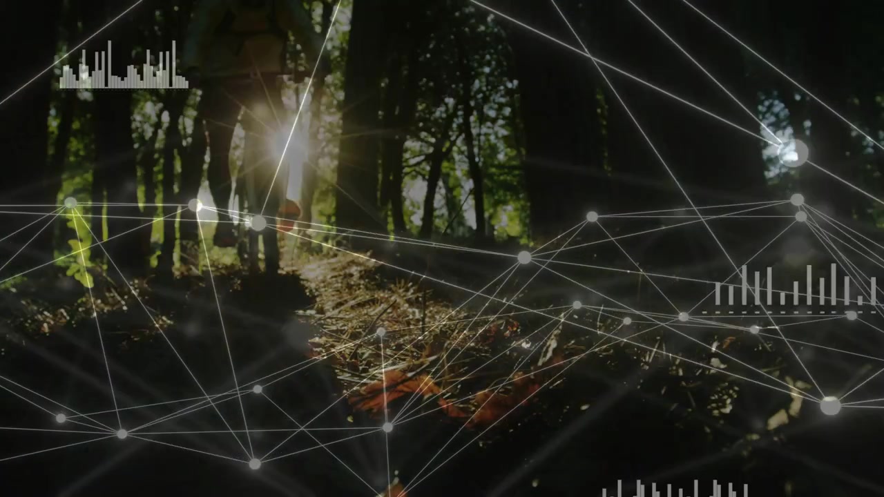Digital network reacting to lens flare, pulsing nodes and shifting HUD charts for forest monitoring