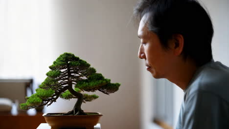 man contemplating a bonsai tree