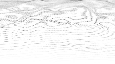 dotted waves create flowing grid using use of black points over white space motion evokes futuristic