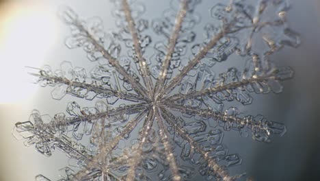 snowflake ice crystals stellar dendrites under microscope macro large magnification close up