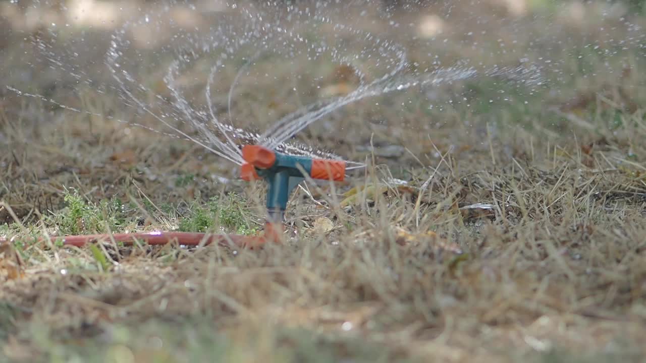 Sprinkler watering lawn