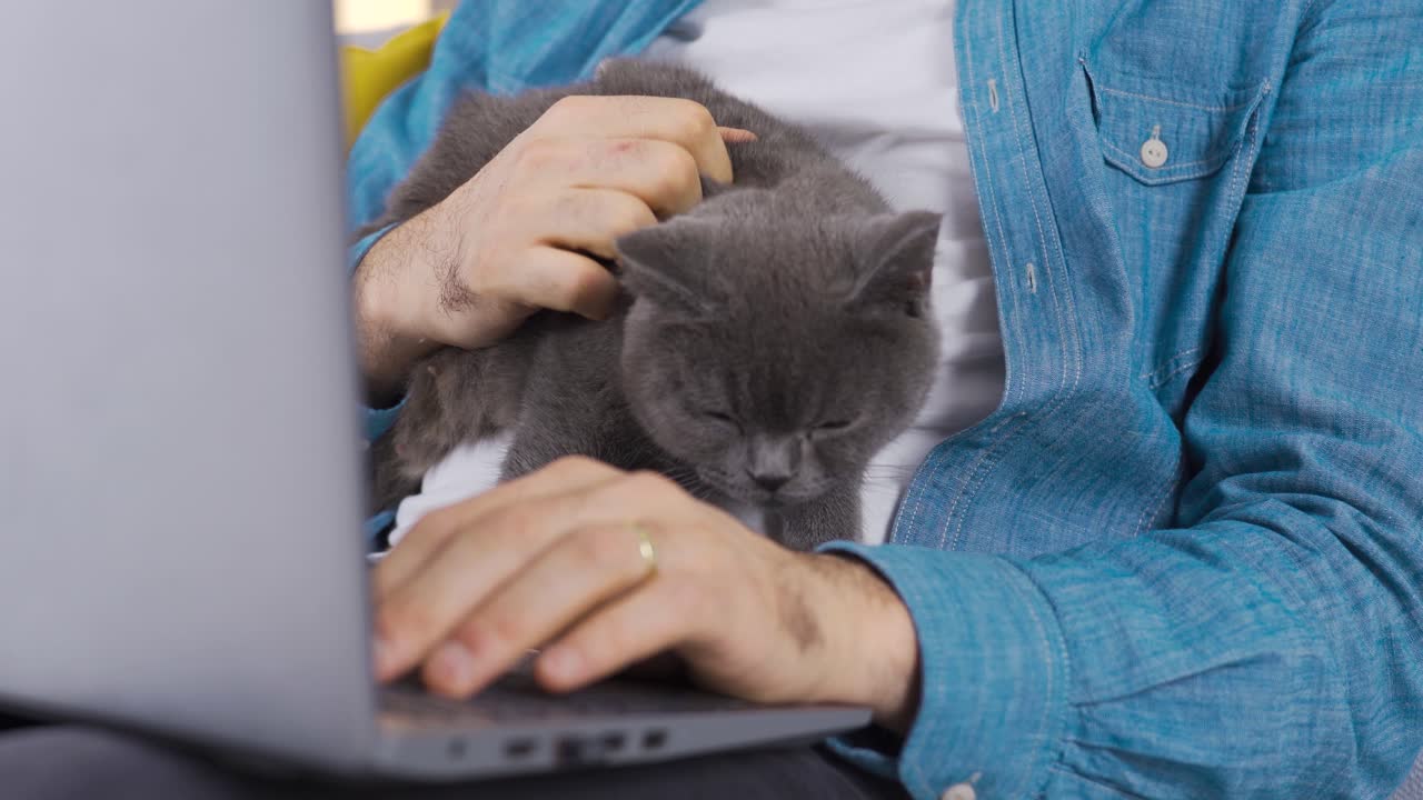 hombre mirando la computadora portátil con su gato.